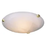 Street Ceiling Light 300mm Multi Colour Clips