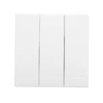 SWE 3G 2W SWITCH{SW306}