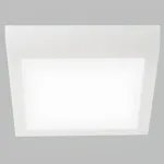 DL511 WHITE
